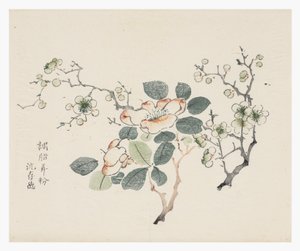Série des Dix Bambous - School Chinese