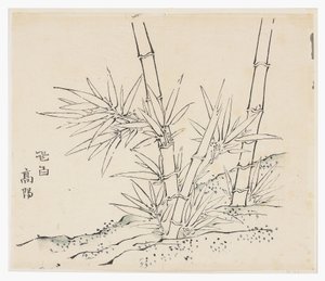 Série des Dix Bambous - School Chinese