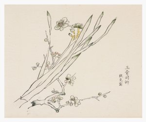 Série des dix bambous - School Chinese