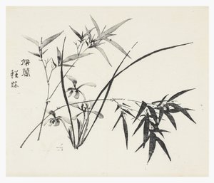 Série des Dix Bambous - School Chinese