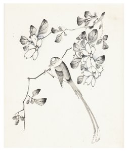 Série des Dix Bambous