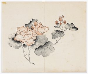 Série des Dix Bambous - School Chinese
