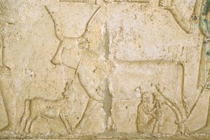 Égypte ancienne, Sculpture murale, Tombe de Petosiris, Tuna el Gebel, 300 av. J.-C., Traite d