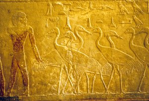 Égypte ancienne, Sculpture/peinture murale, Mastaba/Tombeau de Ti, Saqqara, 5e dynastie, Un fermier menant des grues apprivoisées