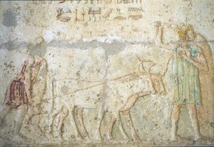 Égypte ancienne, Sculpture/peinture murale, Tombe de Petosiris, Tuna el-Gebel, 300 av. J.-C., Labour et semis des cultures - School Egyptian