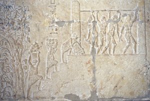 Égypte ancienne, peinture murale, Tombe de Petosiris, Tuna el-Gebel, 300 av. J.-C., Récolte du vin, Fabrication du vin, Presse à vin - School Egyptian
