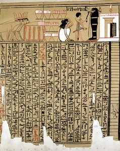 Hiéroglyphes égyptiens - School Egyptian