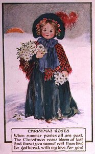 Roses de Noël - School English