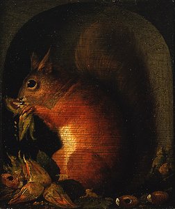 Écureuil roux dans une niche avec des noix