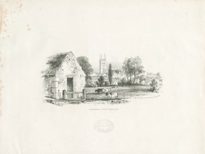 Tamworth - School English