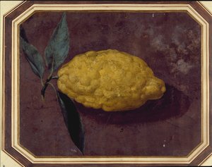 Un citron