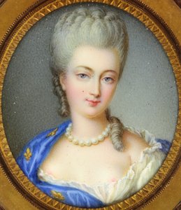 Une princesse Bourbon, appelée Marie-Louise-Élisabeth d