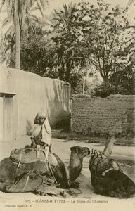 Le Repos du Chamelier, c.1890-1914 (photo n/b)