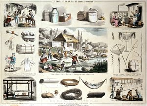 Chanvre et lin et leurs produits