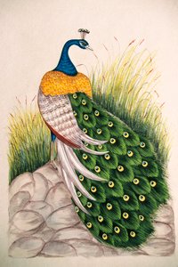 Peinture Miniature sur Soie Paon - School Indian