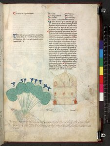 Egerton 747 Tractatus de herbis (Herbier) c.1280-1310 - School Italian