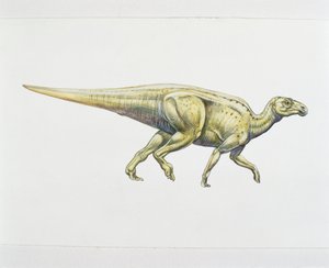 Hadrosauridé ou dinosaure à bec de canard