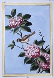 Oiseau - estampe japonaise