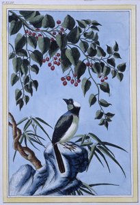 Oiseau - estampe japonaise