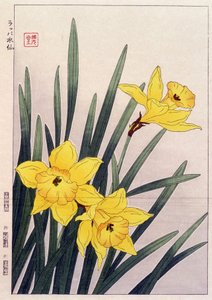 Jonquilles en gros plan - Estampe japonaise - Japanese School