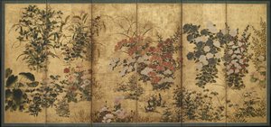 Fleurs d