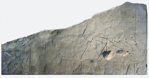 Inscription funéraire hébraïque de Beth Loya, contreforts de Judée, Israël, VIe siècle av. J.-C. (pierre) - School Levantine