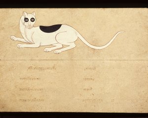 Feuille d