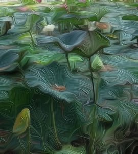 Étang de nénuphars1 - Scott J. Davis
