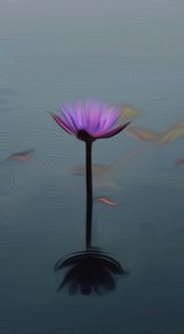 Lys pourpre - Scott J. Davis