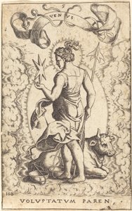 Vénus