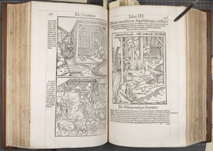 Cosmographia, Fol 436-437 - Sebastian Munster