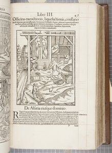 Cosmographia, Fol 437, 1544 - Sebastian Munster