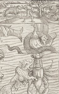 Cosmographia, Fol 853, 1544 - Sebastian Munster