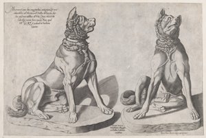 Speculum Romanae Magnificentiae : Deux chiens - Sebastiano di Re