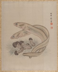Anguilles, vers 1890-92 - Seki Shuko