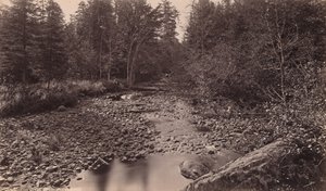 Rivière Marion au camp de Bassett