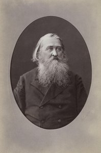 Portrait du poète Aleksey Nikolayevich Pleshcheyev 1825-1893, 1870