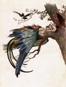 Littérature. Contes de fées. L