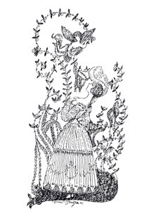 Illustration de l