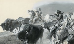 Troupeau de buffles (gouache sur papier)