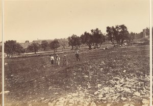 Vue générale de la ville, etc. du nord - Sgt. James M. McDonald