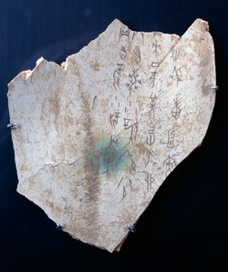 Pictogramme sur une omoplate de bœuf avec un rituel pour conjurer le danger