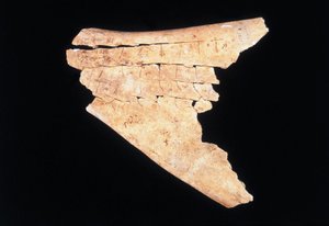 Pictogramme sur une scapula de bœuf avec un rituel pour éloigner le danger