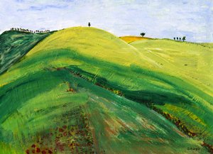 Paysage vallonné et serein