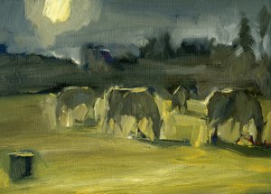 Chevaux d