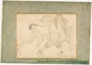 Chameau et Palefrenier, Illustration d