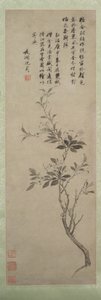 Pommier en fleurs, 1500 - Shen Zhou
