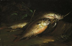 Poisson, 1842 - Shepard Alonzo Mount