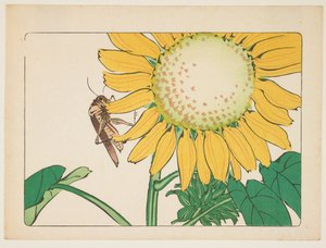 (Sauterelle et tournesol) - Shibata Zeshin