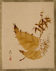  - Shibata Zeshin